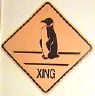 penguinxing2