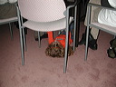 dscn3156