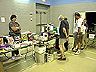 vendor