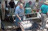 wap_picnic_6_19_04_-_25