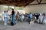 wap_picnic_6_19_04_-_32