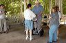 wap_picnic_6_19_04_-_37