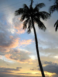Sunset Hawaii