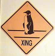 penguinxing2