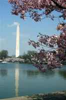 washingtonmonument.jpg