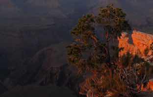 Honorable Mention, Novice, Shoebox: Grand Canyon Nearing Dusk