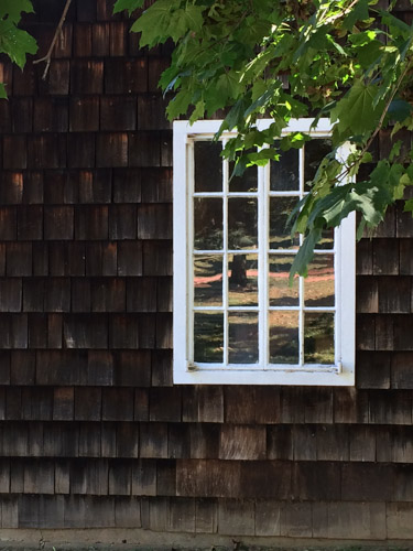 Window with reflections