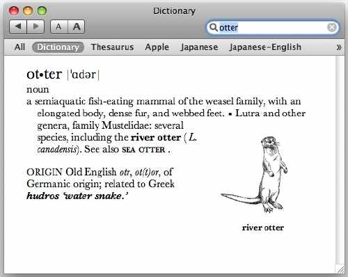 otter definition