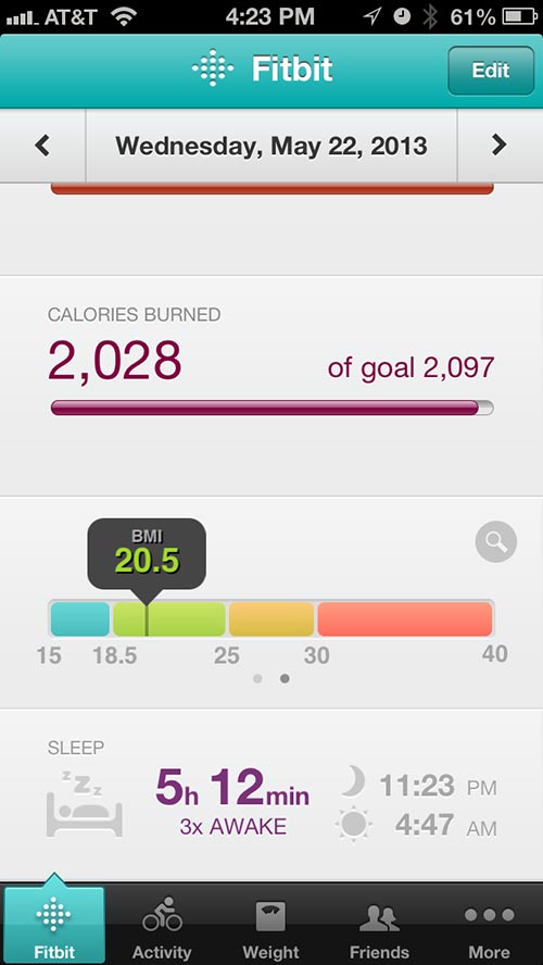 Fitbit activity summary screen