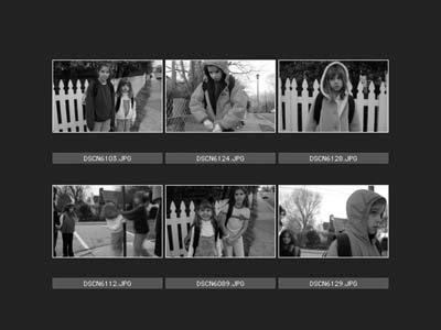 contact sheet