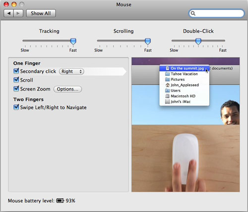 Magic Mouse prefs