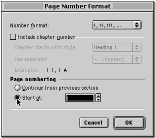 Page Number Format