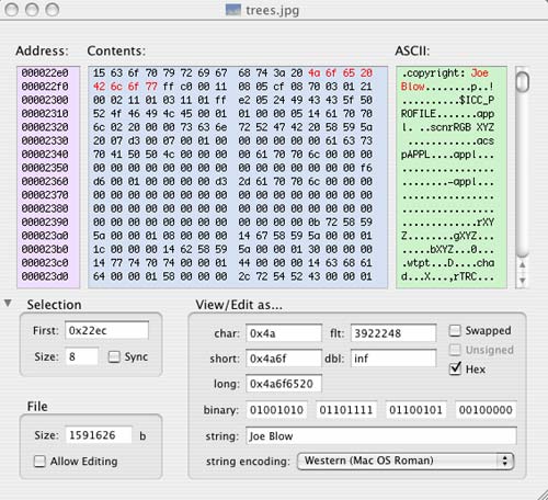 View in hex editor