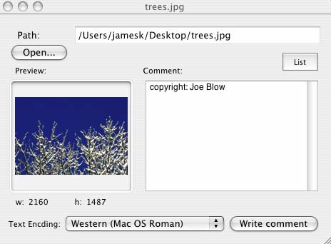 JPEG comments window