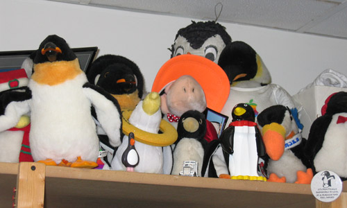 TCS Guard Penguins